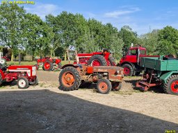 ws 334